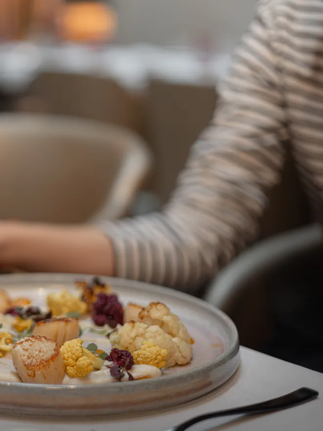 RVB_-_VISUEL_PRODUIT_TRAITEUR-9200